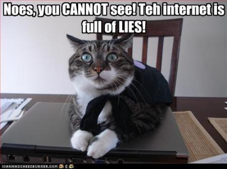 Cat Warns of Lies on Net